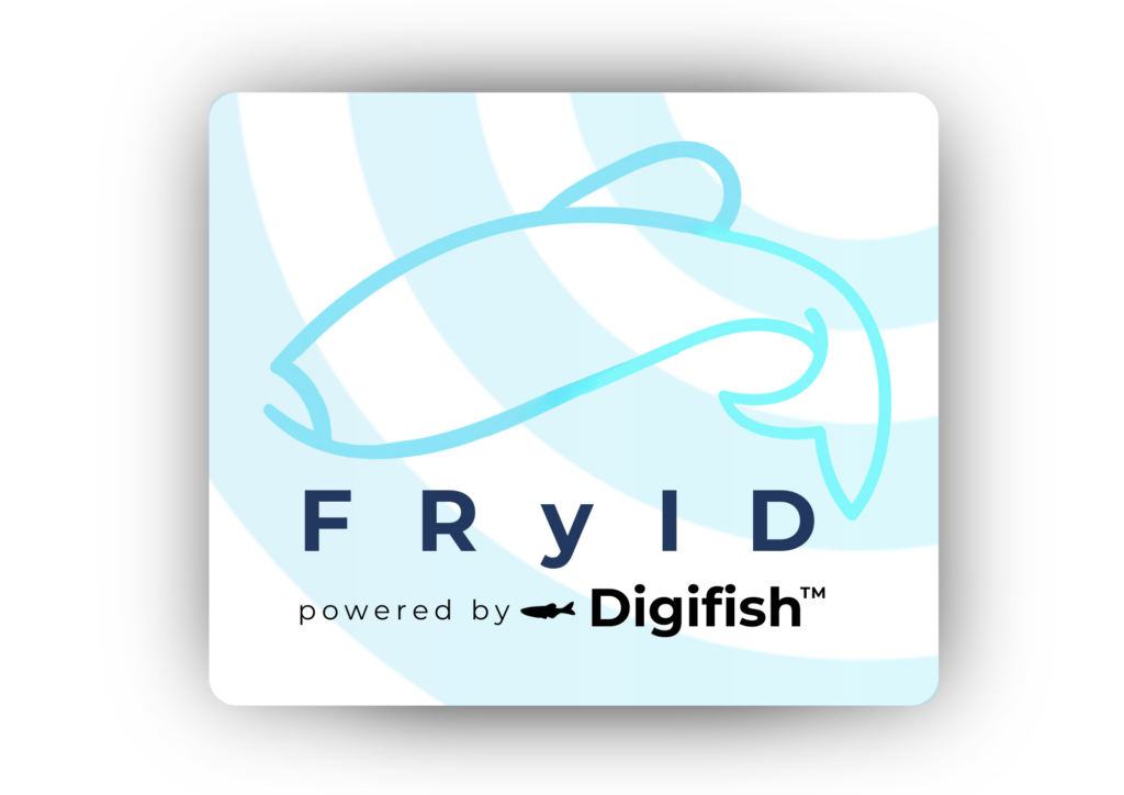 FRyID is a RFID fish tagging solution for fish research